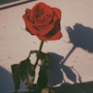 Meet your Posher, Evelyn